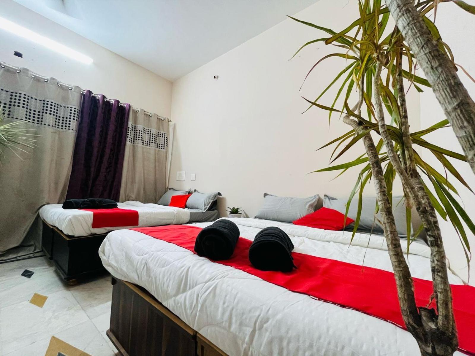 Hotel Adh Hazel Wood Mysuru Zewnętrze zdjęcie
